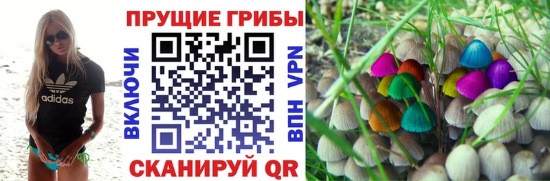 Купить закладки  Берёзовский  Галлюциногенные грибы мухоморы 