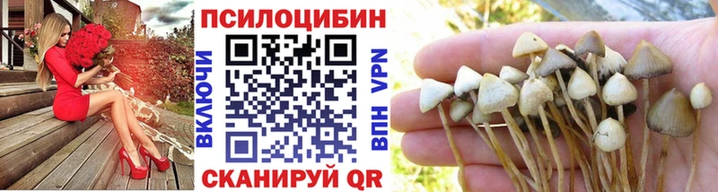 Галлюциногенные грибы Cubensis Берёзовский